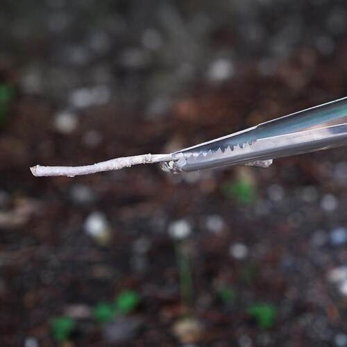 田中文 tab. ファイヤーブースター