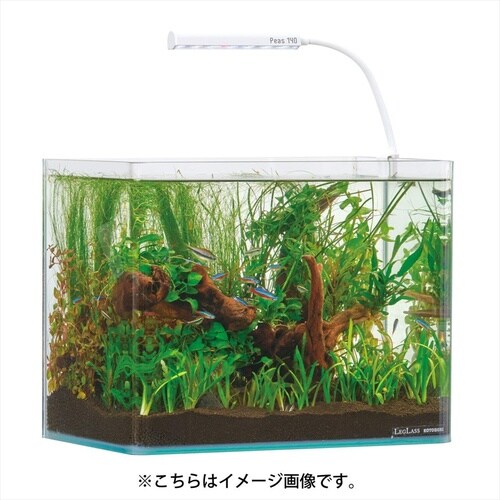 ミニフィットフィルターMF