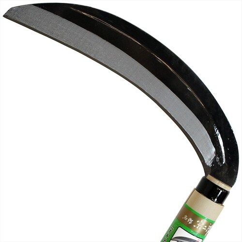 #091167 箱切名人 180mm