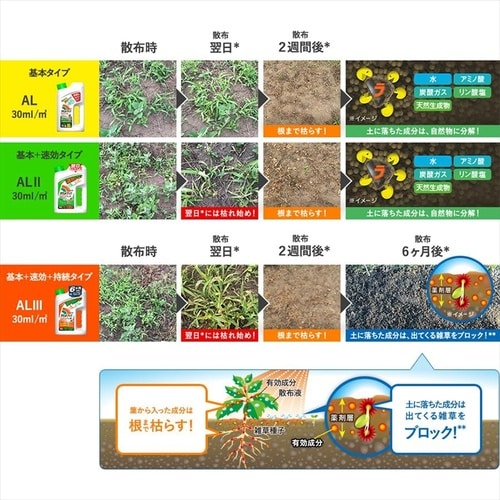 鉛フリー共晶はんだ0.3mm 3個入