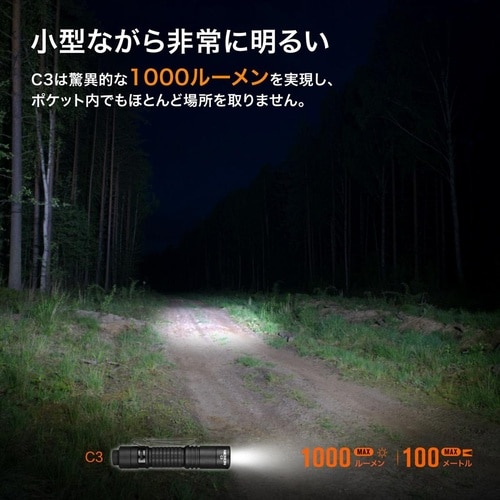 N1pro ポケットライト カラビナ付