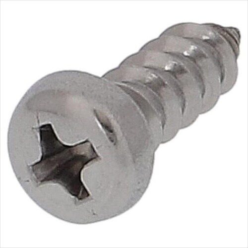 ステンタッピング ナベ 6X100 10P