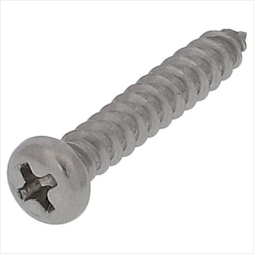 ステンタッピング ナベ 5X12 100P