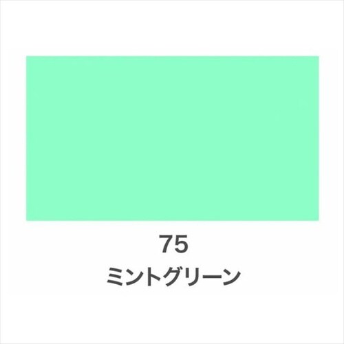 Cカラースプレー 300ml メキシカンサンド