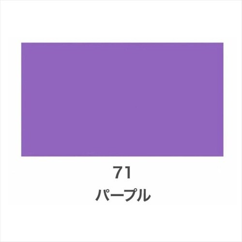 Cカラースプレー 100ml 56パールGY