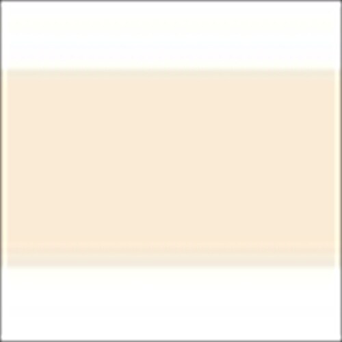 シリコン鉄部用 1.6L ライトグリーン