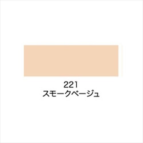 ビッグ10 1.6L 245スレートGY