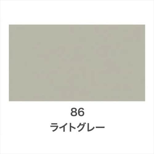 Cカラースプレー 100ml ライトブラウン