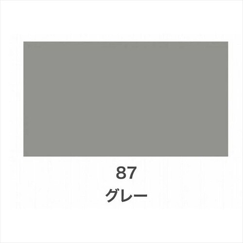 Cカラースプレー 100ml 89グロスBK