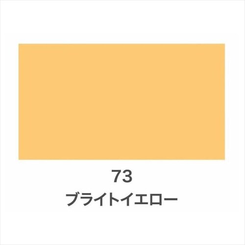 Cカラースプレー 300ml 83ブラウン