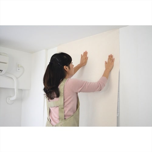 シールガラスシート 46x90cm アフィニス