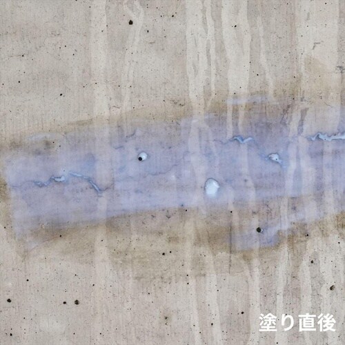 超強力ウレタン防水材リークナインクリヤ800g