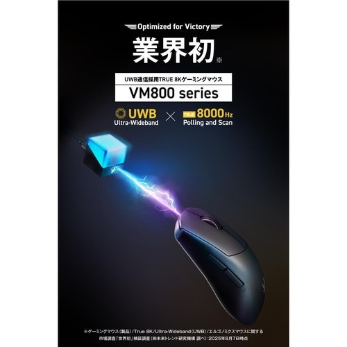 ゲーミングマウス 軽量 無線有線 Lサイズブラック