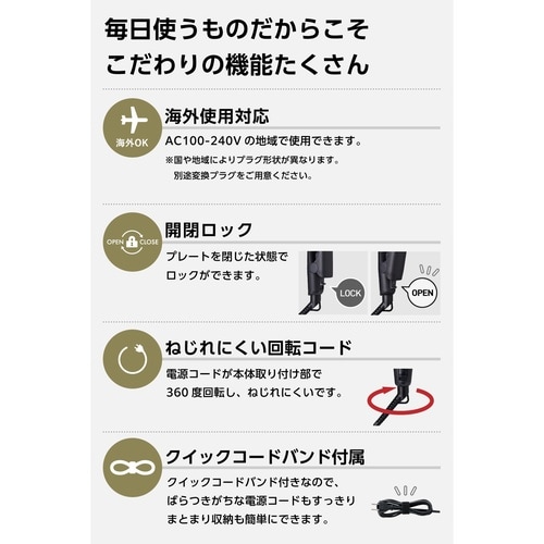 ミニストレートアイロン 海外対応 黒