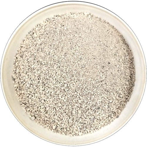 天然貝化石 貝心の一撃 5kg