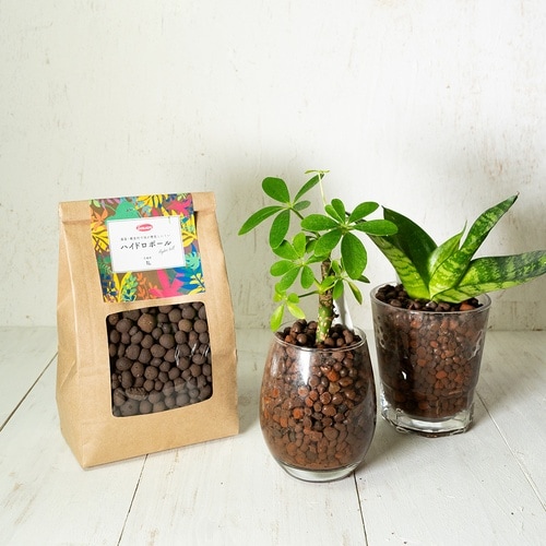 クラフト ハイドロボール 1L