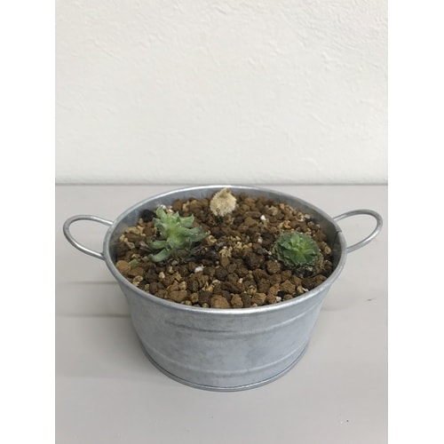 クラフト 虫が寄り付きにくい多肉植物の土 1L