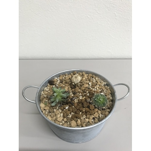 クラフト 虫が寄り付きにくい多肉植物の土 1L