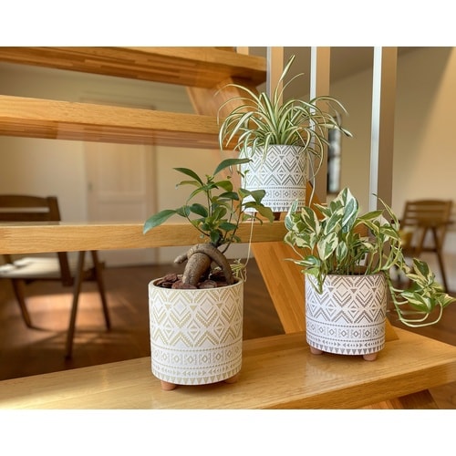 スケイルポット WC1732−001135DP