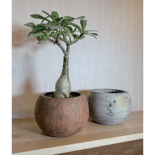 アンティークラウンドポット