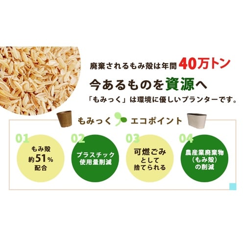 もみっくポット 4号 ブラック