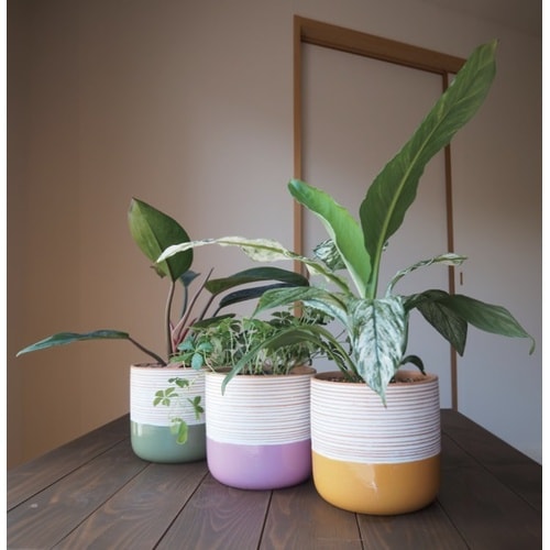 カラーポット WC1732−005140OCD