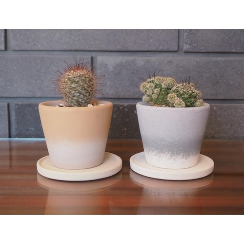 ソーサー WC1732−008120IV