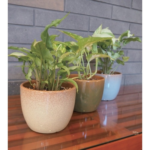 グレイズポット WC1733−004120BL