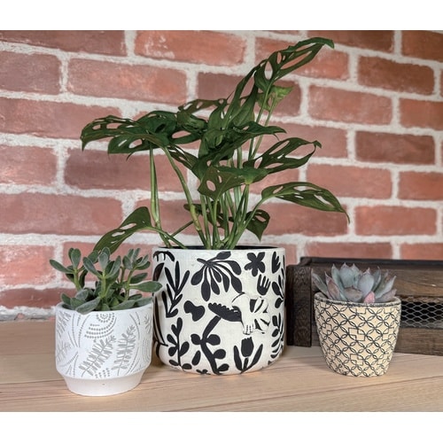 ブラックボタニカルポット