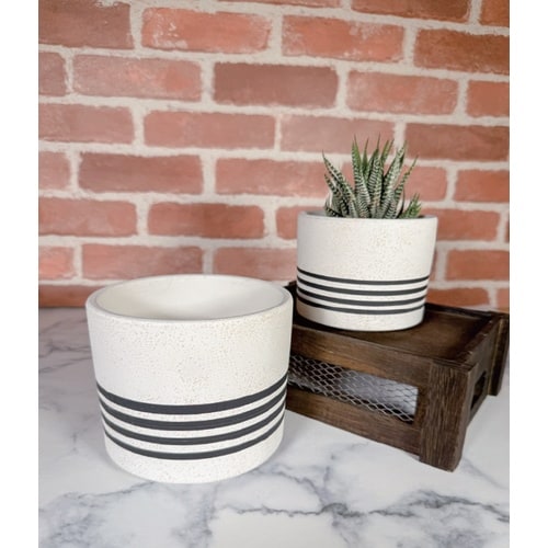 ストライプポット パラレル