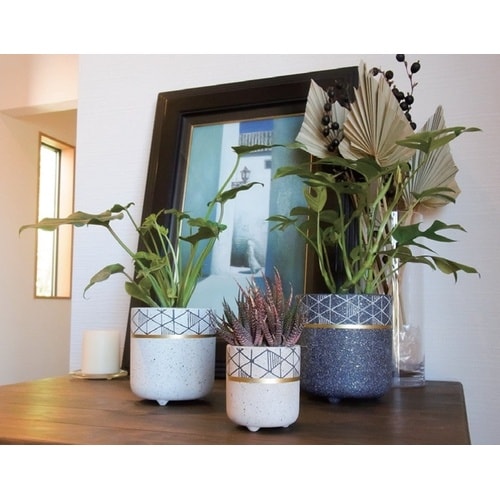 モデストポット WC1733−010115WH