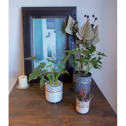 モデストポット WC1733−010115WH