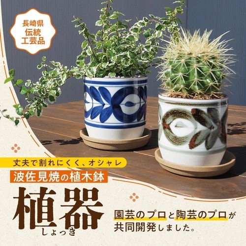植器 十草赤 85mm