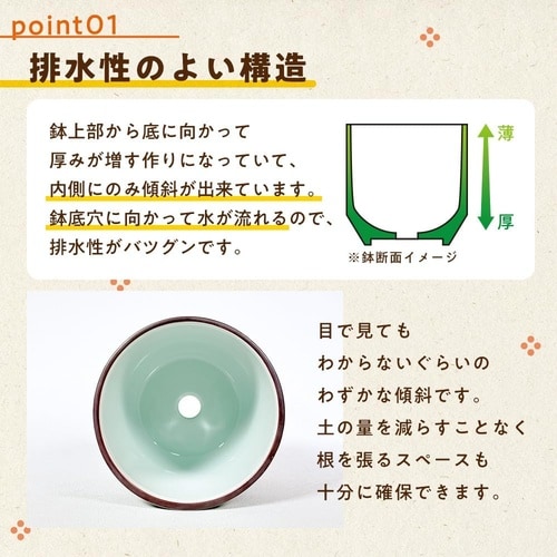 植器 廻り花茶 100mm