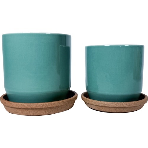 植器皿 100mmヨウ