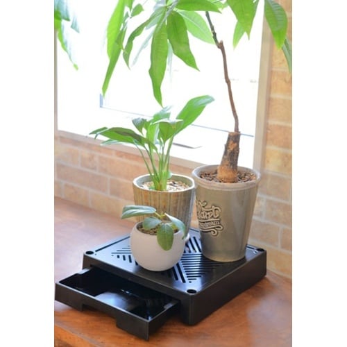 どこでもブラックベース 24cm