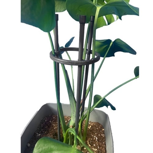 リングサポート リング径15cm×高さ40cm