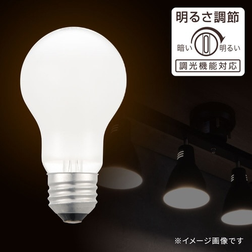 長寿命シリカ電球40W 2P