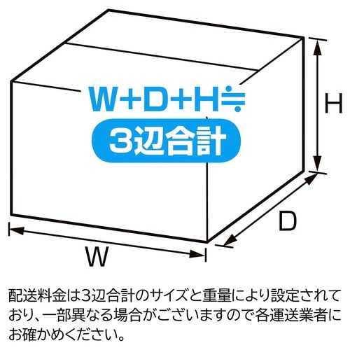 ダンボールW30.4×D19.9×H15.6
