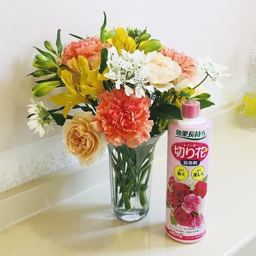 レインボー切り花延命剤 480ml