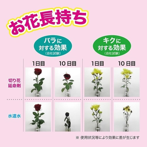 レインボー切り花延命剤 480ml