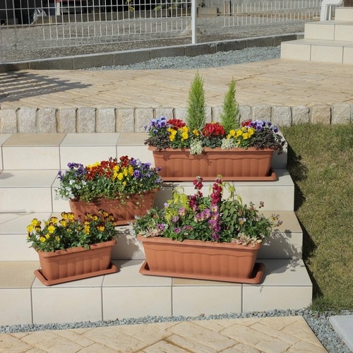 クイーンプランター 650型 ブラウン