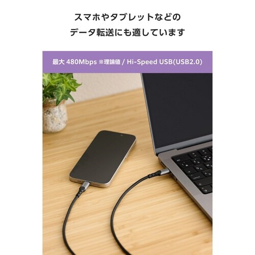 高耐久ケーブル C−C 2m 240W 黒