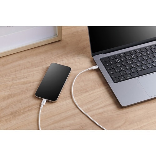 高耐久ケーブル C−C 1m 60W 認証品 白