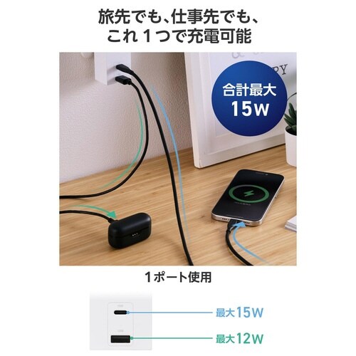 直挿し電源タップ 1口 C×1 A×1 白