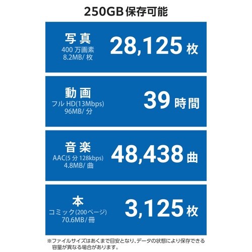 外付けSSD 250GB USB−C グレー