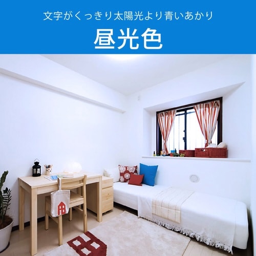 LEDクリップライト L2D5AK−K