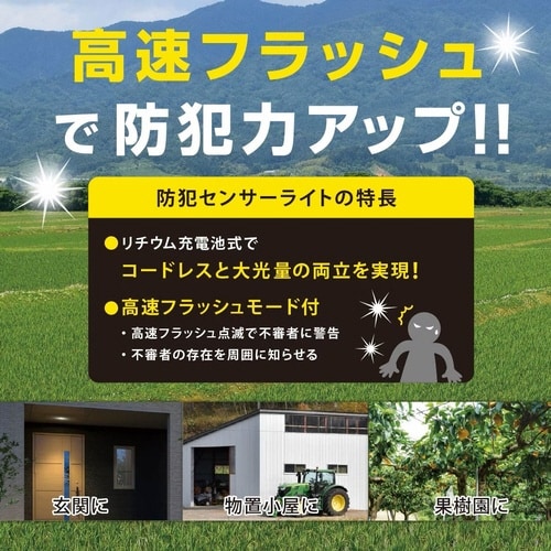 防犯センサーライトB311