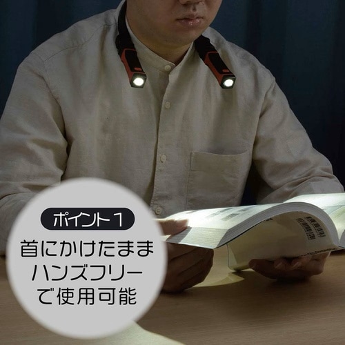 LEDネックツインライト LHP−N24