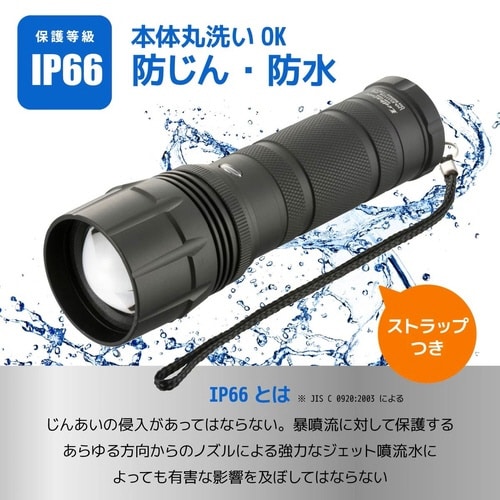 LEDズームライト 1100